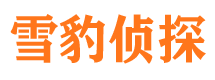 薛城市调查公司